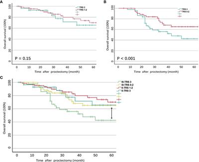 Stratified Prognostic Value of Pathological Response to Preoperative Treatment in yp II/III Rectal Cancer